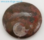 Preview: ammonite