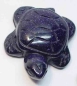 Preview: Blaufluss Schildkröte