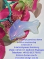 Preview: Kinderschmuck Opal Delfin