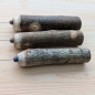 Preview: Einhandrute Tensor mit Druse und Hematit