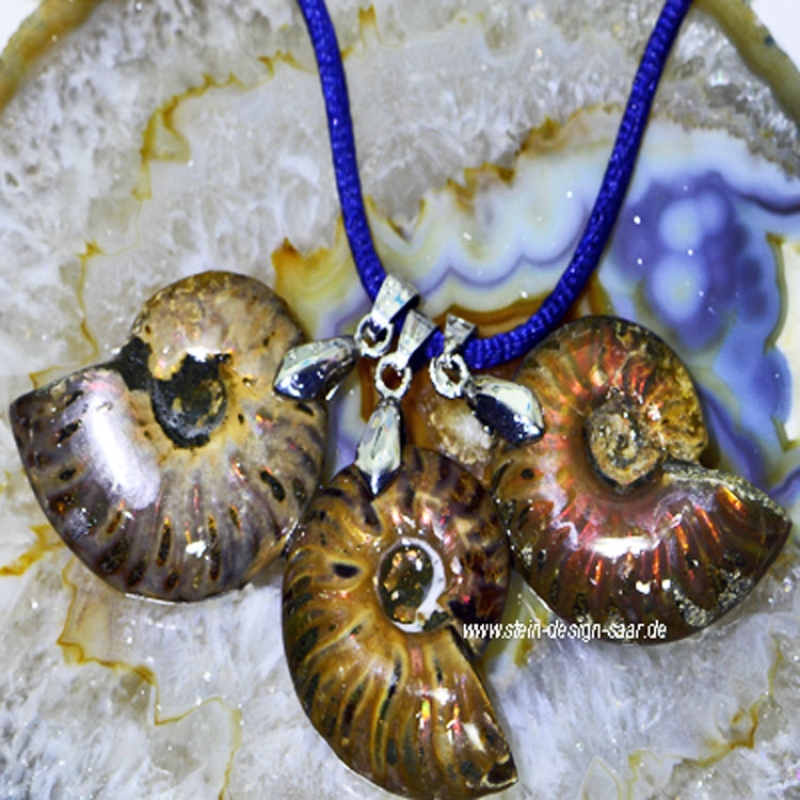Ammonite, Ammolite, Anhänger mit Schlaufe  roh