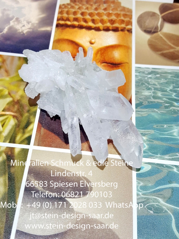 Preview: *sonderpreis* Druse Stufe