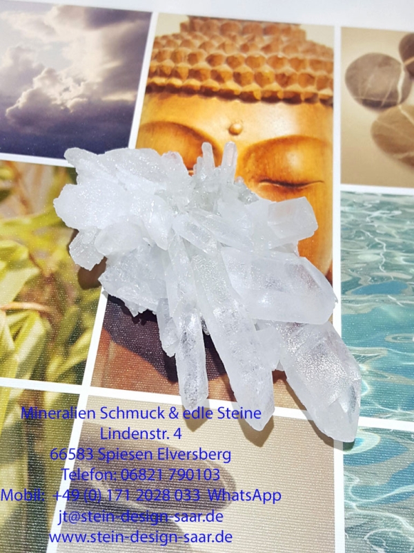 Preview: selten grose Spitzen