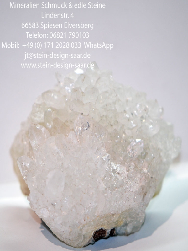 Preview: *sonderpreis* Stufe