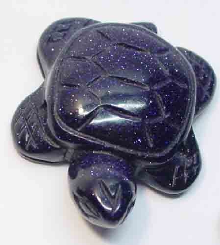 Blaufluss Schildkröte